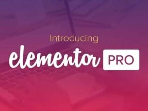 Elementor Pro Plugin WordPress Page Builder