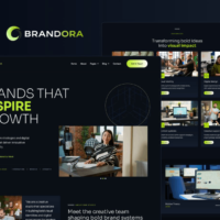 Brandora - Creative Agency Elementor Pro Template Kit Elementor Template Kit Cover